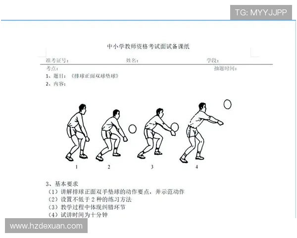 排球装备选购指南：如何选择适合自己的排球拍推荐与技巧解析